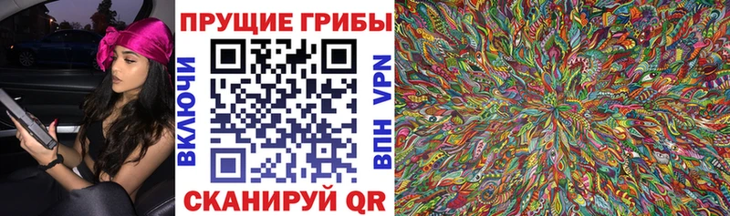 Псилоцибиновые грибы GOLDEN TEACHER  кракен ССЫЛКА  Белогорск 
